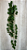 Folhagem Artificial Pendente Hera Verde Decorativa - Imagem 1