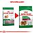 Ração Seca Royal Canin Mini Indoor Senior para Cães de Raças Pequenas com 8 Anos ou mais - Imagem 2