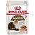 Ração Royal Canin Sachê Feline Health Nutrition Ageing +12 para Gatos Idosos 85g - Imagem 1