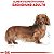 Ração Royal Canin para Cães Adultos da Raça Dachshund - Imagem 3