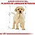 Ração Seca Royal Canin Puppy Labrador Retriever para Cães Filhotes 12 Kg - Imagem 5