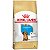Ração Seca Royal Canin Puppy Dachshund para Cães Filhotes 2,5 Kg - Imagem 1