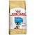 Ração Seca Royal Canin Puppy Pastor Alemão para Cães Filhotes 12 kg - Imagem 1