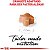 Ração Seca Royal Canin Puppy Pastor Alemão para Cães Filhotes 12 kg - Imagem 2