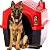 Casa Durahouse Vermelha para Cães N°5 - Imagem 1