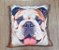 Cão Bulldog Almofada Decorativa - Imagem 1