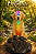 Orgonite Pet - Imagem 1