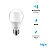 Lâmpada LED 12W 6500K Bivolt – Luz Branca Fria e Econômica Elgin - Imagem 1