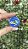 Botton Alfinete P Azul - Kit com 10 unidades - Imagem 1