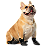 Botinha Totz Nº 3 - Imagem 6