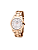 Relógio Champion CH24544Z - Feminino Fashion Analógico - Imagem 1