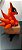 RAPOSA KURAMA - AMIGURUMI - Imagem 5