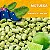 Lúpulo Motueka - kilo em pellet | Breja Box - Imagem 2