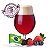 Fruit Bier kit receita - Breja Box - Imagem 1