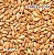 Malte Barley Loaf (Aromatic) Blumenau | 25-30 EBC Breja Box - Imagem 1