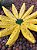 Fruteira Mesa Banana Rustica - Imagem 3