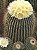 Eriocactus claviceps - Imagem 4