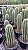 Pilosocereus Sp. Pt11 - Imagem 2