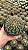 Melocactus Sp. Pt11 - Imagem 1
