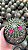 Mammillaria hidalgensis Pt11 - Imagem 1