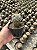 Mammillaria columbiana Pt11 - Imagem 2