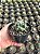 Coryphantha elephantidens Pt11 - Imagem 1