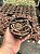 Stapelianthus madascariensis Pt11 - Imagem 4