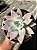 Echeveria mexican giant Cuia18 - Imagem 2