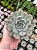 Echeveria orion Pt11 - Imagem 1
