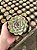 Echeveria hercules Pt11 - Imagem 1