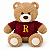 URSO HARRY POTTER Gifford Bear Series 25CM ORIGINAL MINISO - Imagem 1
