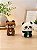 Apontadores Panda e Urso Fofo – UND - Imagem 1