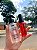 Combo suculenta - Imagem 1