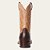 Bota Masculina Importada ARIAT -DARK ROAST 10035927 - Imagem 2