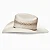CHAPEU IMP RP-20XWIFI WILDFIRE RESISTOL - Imagem 3