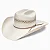 CHAPEU IMP RP-20XWIFI WILDFIRE RESISTOL - Imagem 1