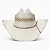CHAPEU IMP RP-20XWIFI WILDFIRE RESISTOL - Imagem 2