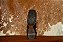 BOTA FEM 263208-CP GOYAZES BISON PRETO - Imagem 4