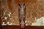 BOTA FEM 266806-CC GOYAZES DALLAS FURTA COR - Imagem 3