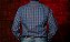 CAMISA MASC XADREZ M/L AUSTIN - Imagem 2