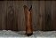 Bota Fem Mexicana Pekus Whisky - Imagem 3