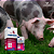 Fosfosal 500ml - Imagem 4