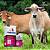 Fosfosal 500ml - Imagem 2