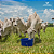 Mub Beef 50kg - Imagem 2