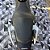 HONDA CB 300R PRETA 2015 - Imagem 10