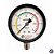 Manômetro Autoclave 63mm 3 kgf/cm² 143°C 1/4" BSP Reto Inox - Imagem 1