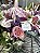 Bouquet Tradicional Lunete - Imagem 2