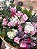 Bouquet Tradicional Plus - Imagem 2