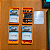Ark Nova + Mundos Marinhos (Insert) - Imagem 4