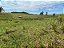 Sitio de 2 hectares Estr. Mato Fino Pda. 105 RS020 - Imagem 3